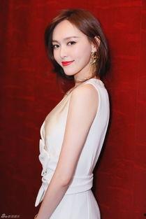 秦岚隐私爆料视频大全,揭秘娱乐圈背后的真相